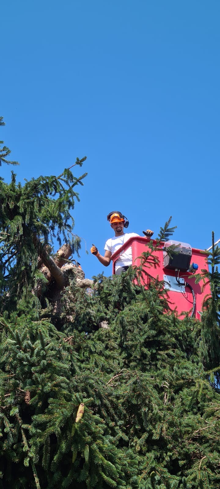 Elagage avec nacelle près de Tarbes