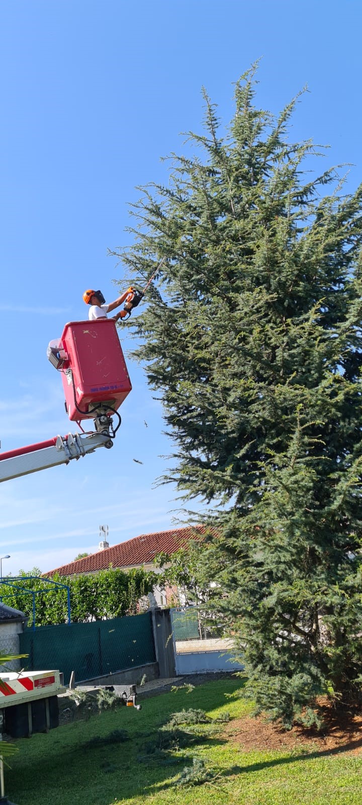 Elagage avec nacelle près de Tarbes