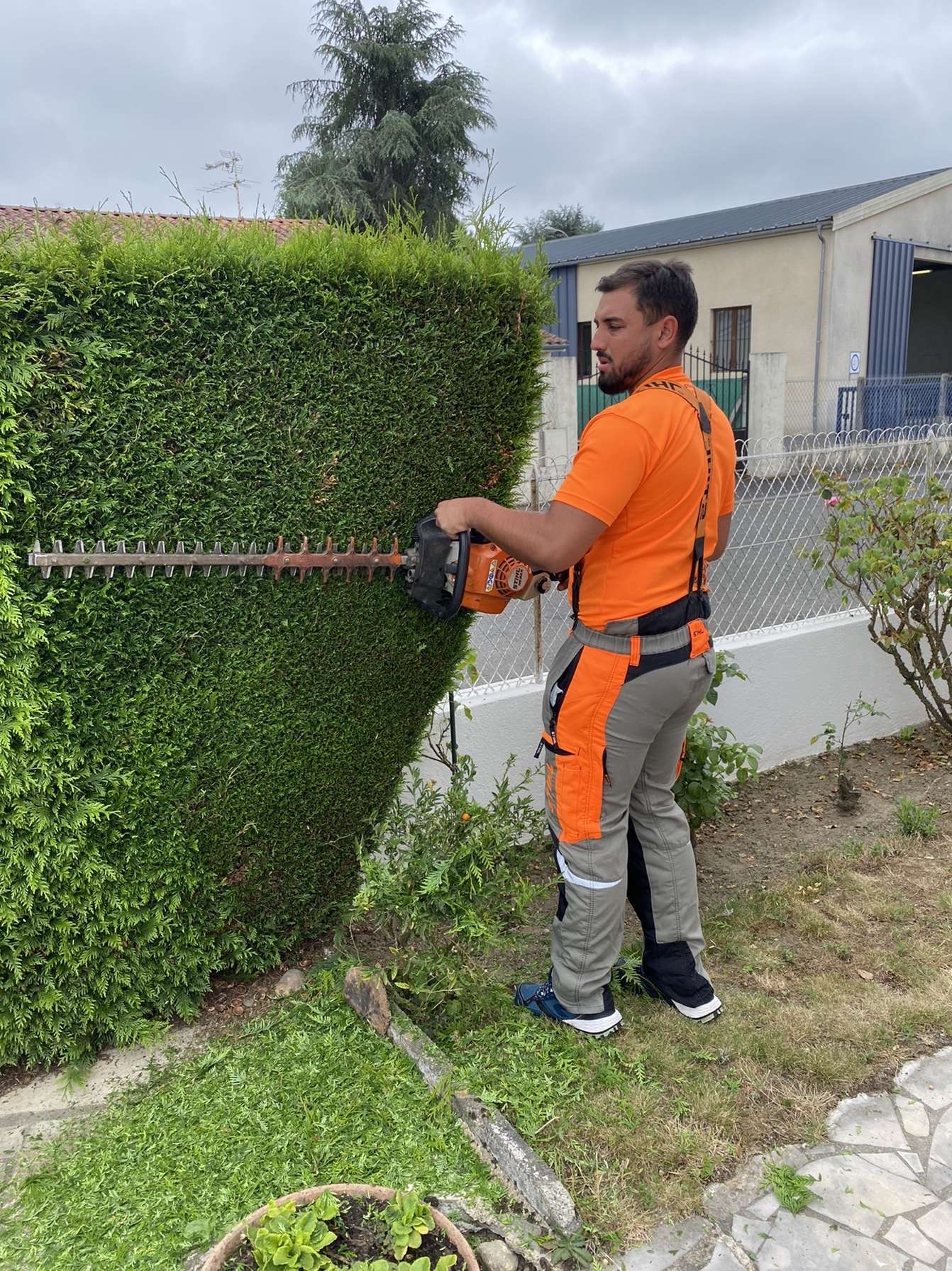 Osé Elagage Entretien | Taille de haie à Tarbes
