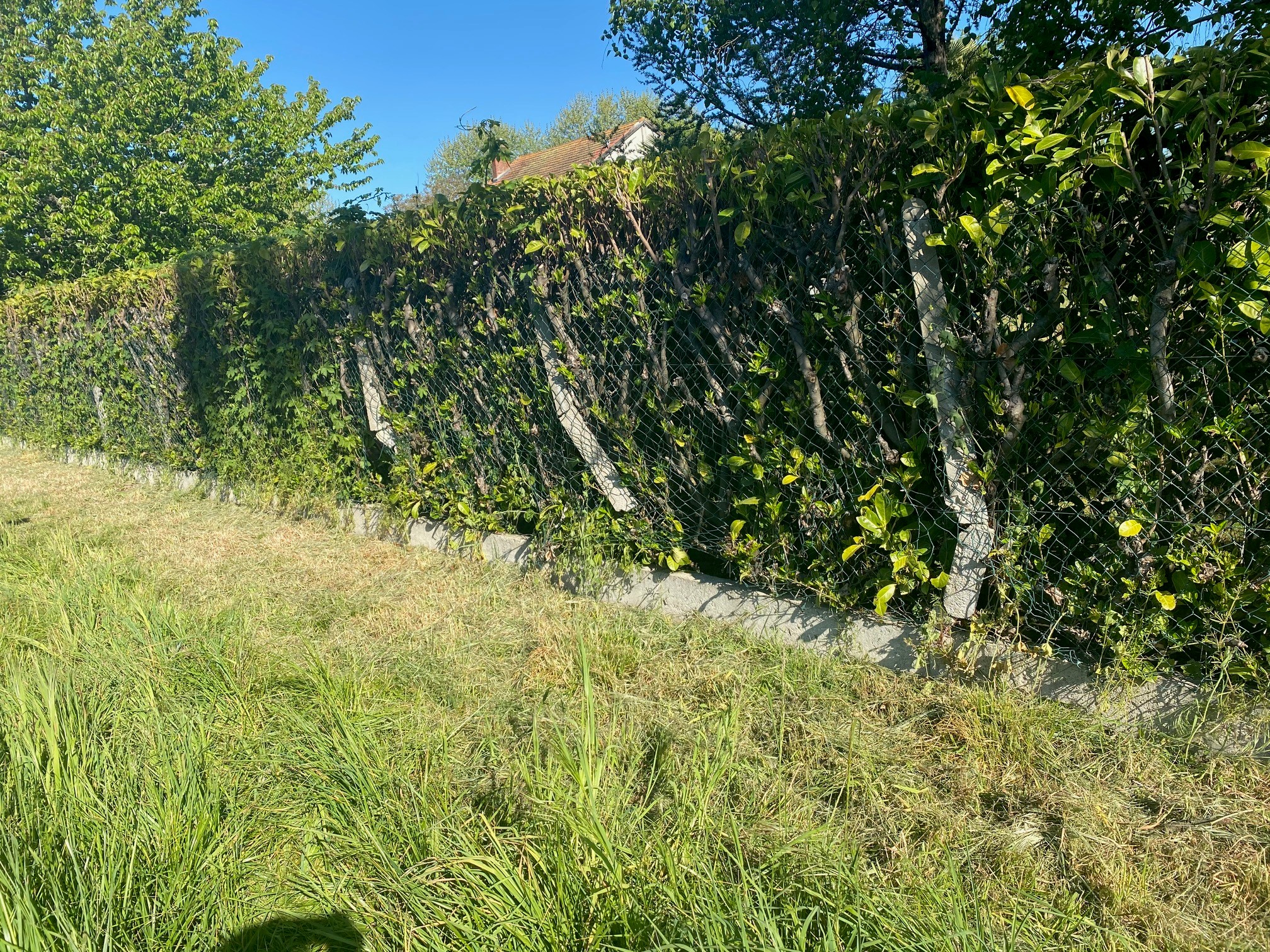 Pose de clôture à Tarbes