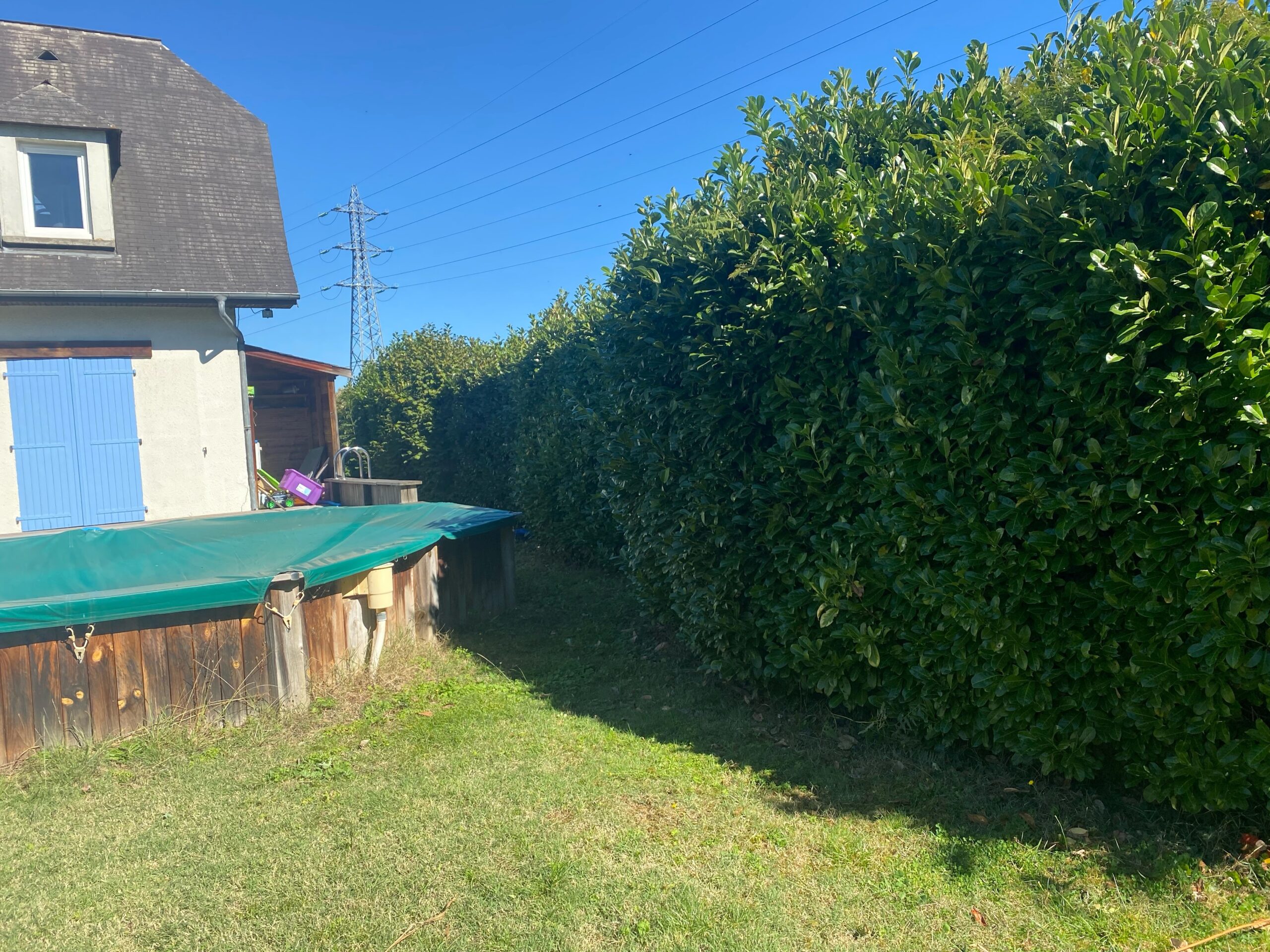 Taille de haie Tarbes