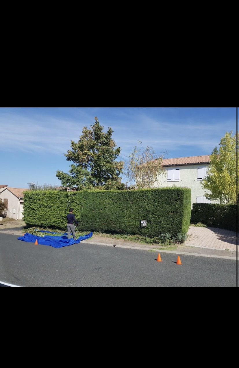 Entreprise élagage Hautes-Pyrénées