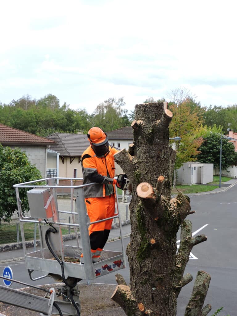 Élagueur professionnel en nacelle pour la taille d'arbres. Bûcheron en tenue orange et casque Stihl coupe un gros tronc d'arbre à la tronçonneuse, travaillant depuis une nacelle (charge max 200 kg).
