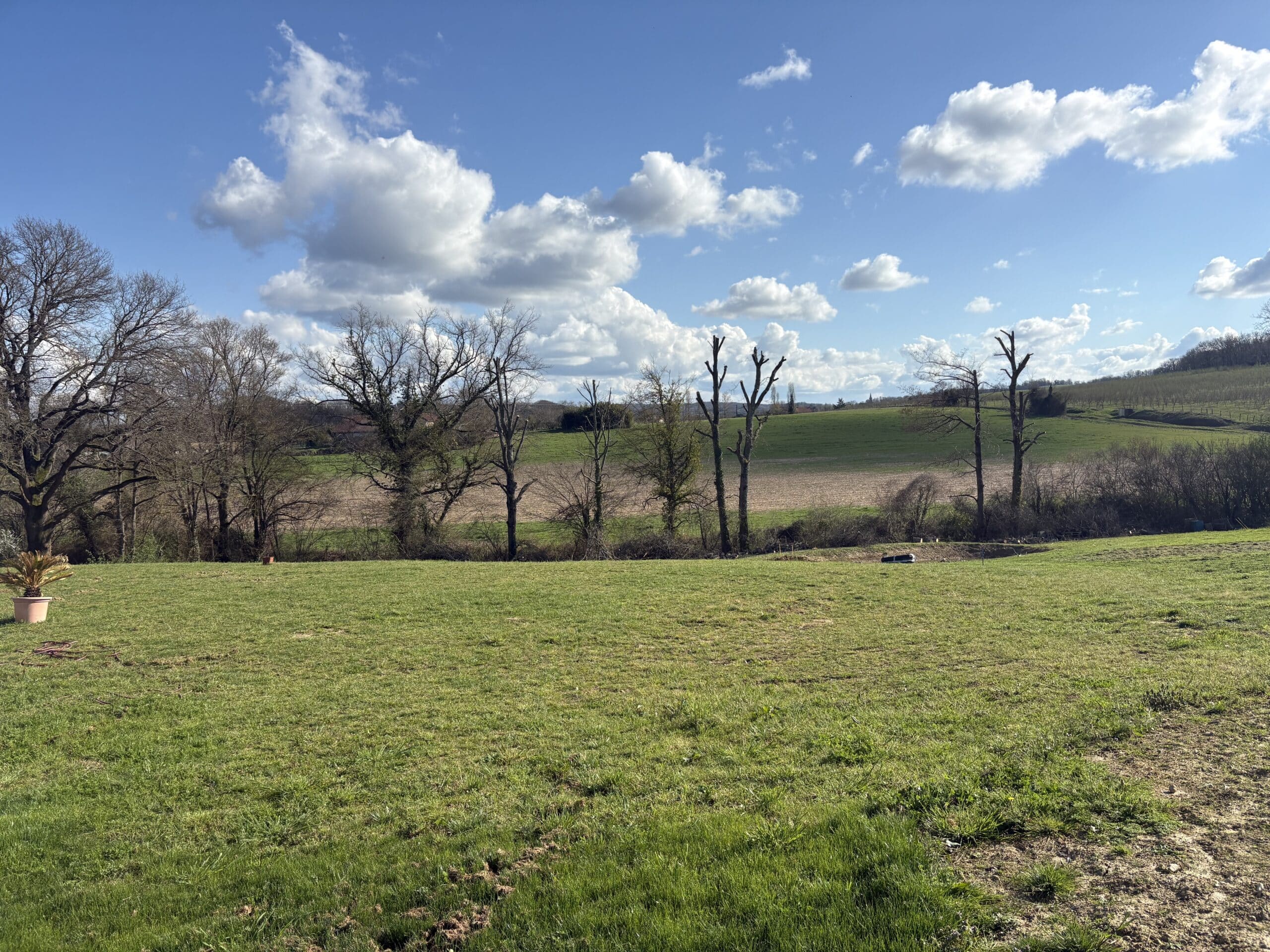 Vaste prairie verte, ligne d'arbres dénudés et collines vallonnées sous un ciel bleu parsemé de cumulus blancs.